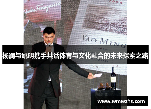 杨澜与姚明携手共话体育与文化融合的未来探索之路