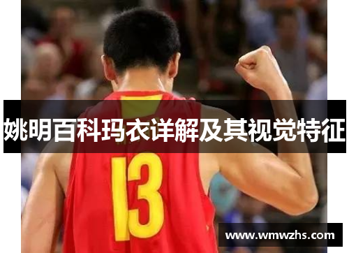 姚明百科玛衣详解及其视觉特征